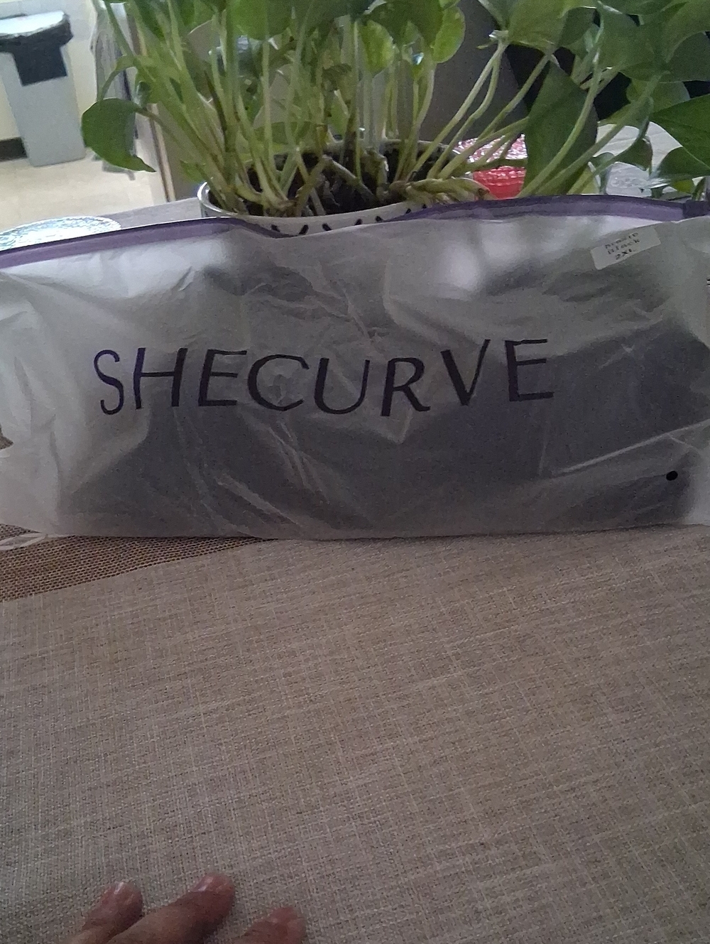 Shecurve Women’s Bra - Black